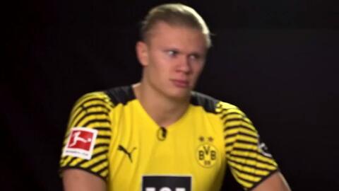 降低了对库 降低了对库